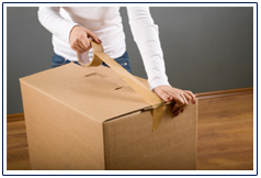  Packing Services