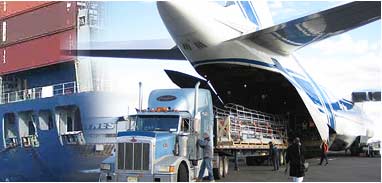  Freight Forwarding & Logistics