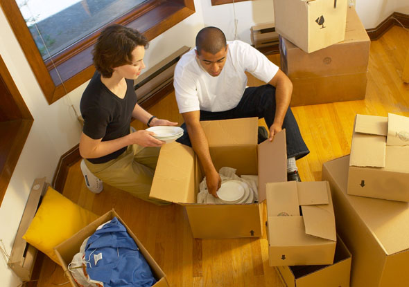  Packing And Moving Service