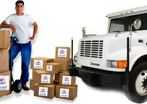  DIAMOND NATIONAL PACKERS & MOVERS