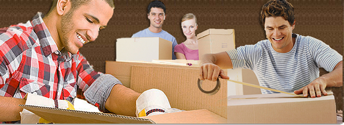  Fe Dex Packers and Movers