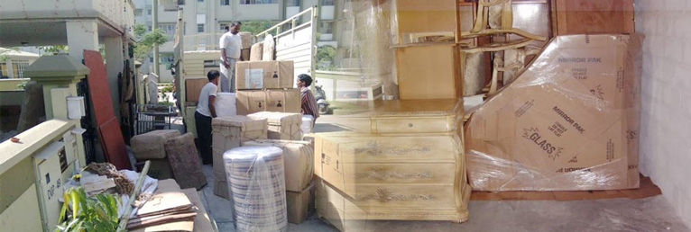  Fe Dex Packers and Movers