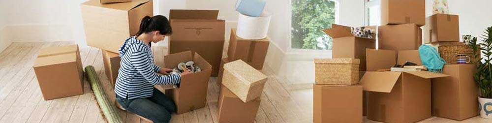  Fe Dex Packers and Movers