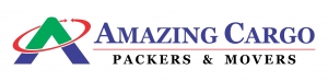  Amazing Cargo Packers & Movers